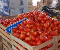 /album/dje-y-productores/a6f6d02d2-debd-495b-b924-6b38abf06e2f-jpg/